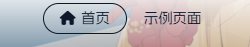 最终效果展示